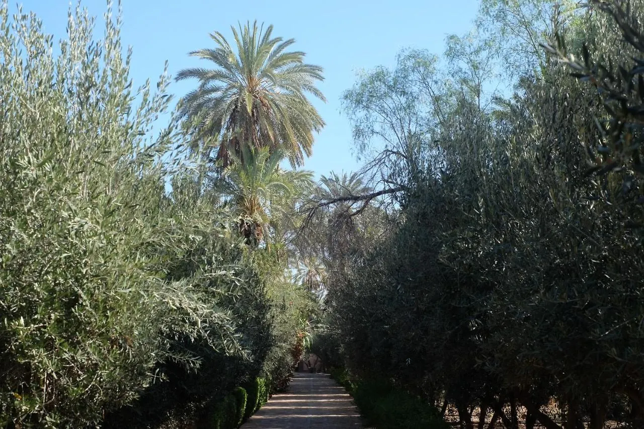 Eden Palm Resident Palmeraie Marrakech Marrakesh 0*,