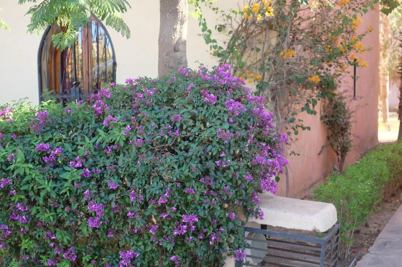 Eden Palm Resident Palmeraie Marrakech Marrakesh Apartamento